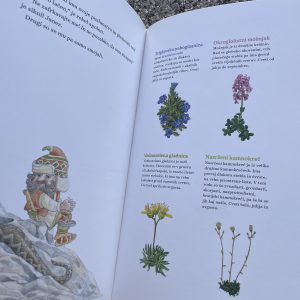 Gorski vrt, za vse odprt - slika 3