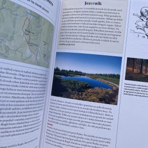 Z otroki v gore - slika 3