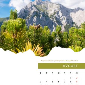 KOLEDAR PD Kamnik 2026 - slika 5